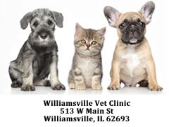 Petersburg Family Dental - Dentist - Dentistry - Petersburg IL — Dentistry clinic in Petersburg, IL — photo 5
