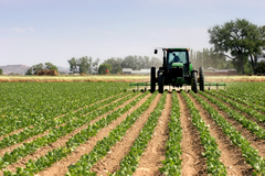 Tractor Cultivating a field